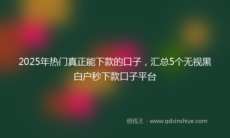 2025年热门真正能下款的口子，汇总5个无视黑白户秒下款口子平台