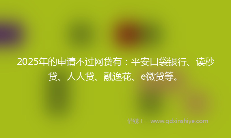 2025年的申请不过网贷有：平安口袋银行、读秒贷、人人贷、融逸花、e微贷等。