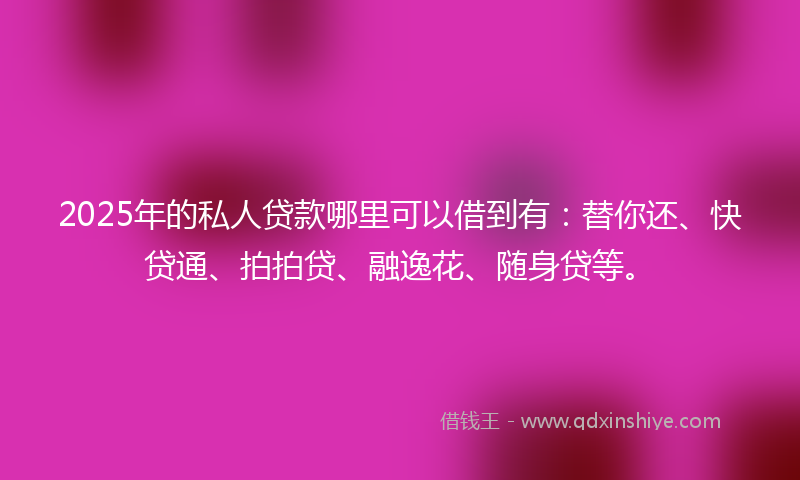 2025年的私人贷款哪里可以借到有：替你还、快贷通、拍拍贷、融逸花、随身贷等。