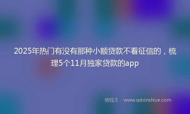 2025年热门有没有那种小额贷款不看征信的，梳理5个11月独家贷款的app