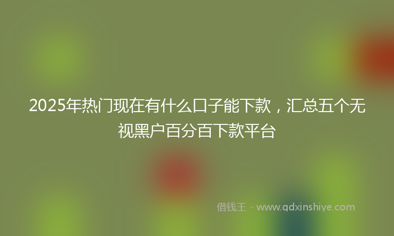 2025年热门现在有什么口子能下款，汇总五个无视黑户百分百下款平台