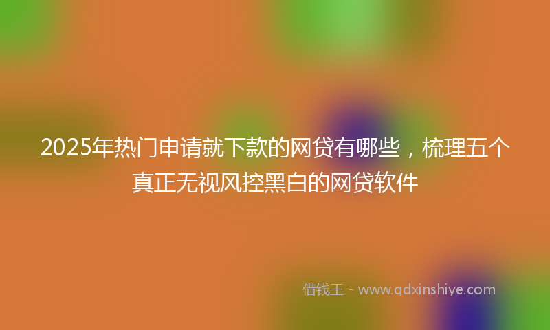 2025年热门申请就下款的网贷有哪些，梳理五个真正无视风控黑白的网贷软件