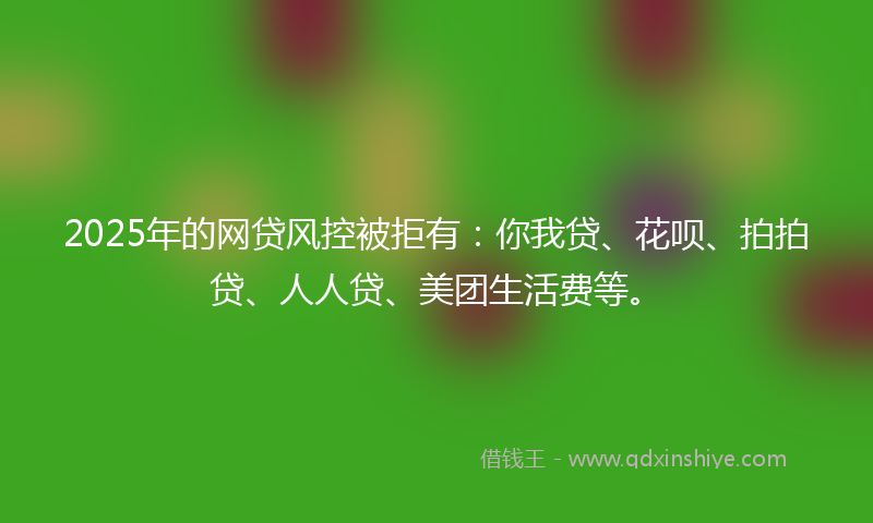 2025年的网贷风控被拒有：你我贷、花呗、拍拍贷、人人贷、美团生活费等。