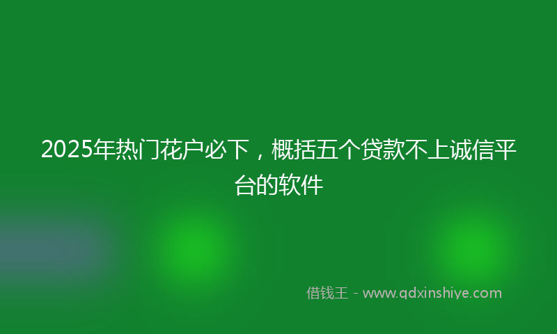 2025年热门花户必下，概括五个贷款不上诚信平台的软件