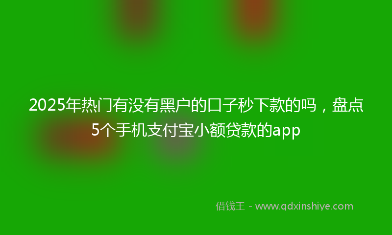 2025年热门有没有黑户的口子秒下款的吗，盘点5个手机支付宝小额贷款的app