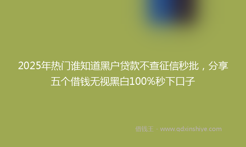 2025年热门谁知道黑户贷款不查征信秒批，分享五个借钱无视黑白100%秒下口子