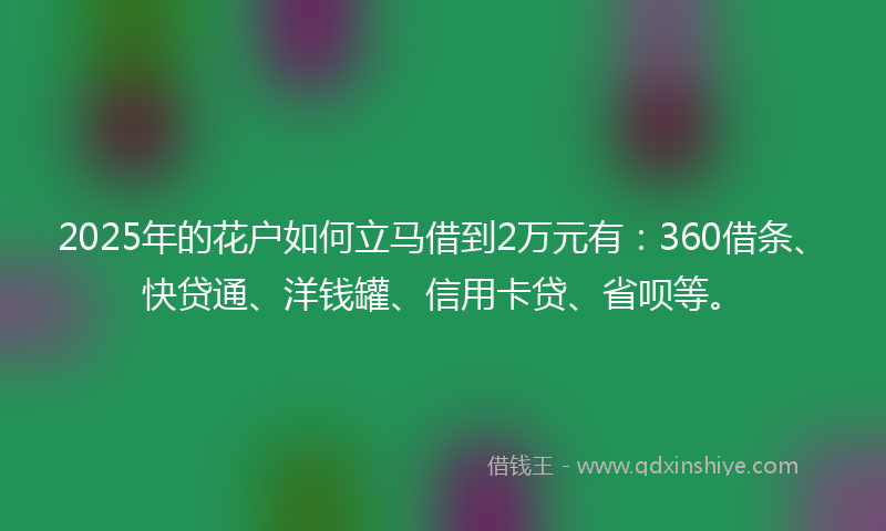 2025年的花户如何立马借到2万元有：360借条、快贷通、洋钱罐、信用卡贷、省呗等。