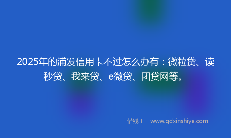 2025年的浦发信用卡不过怎么办有：微粒贷、读秒贷、我来贷、e微贷、团贷网等。
