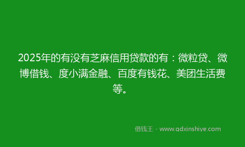 2025年的有没有芝麻信用贷款的有：微粒贷、微博借钱、度小满金融、百度有钱花、美团生活费等。