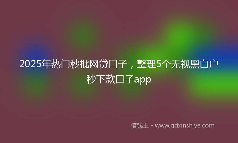 2025年热门秒批网贷口子，整理5个无视黑白户秒下款口子app