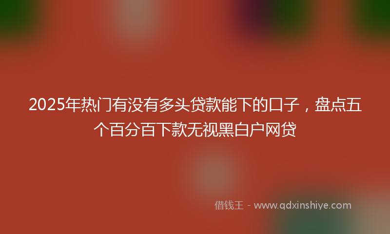 2025年热门有没有多头贷款能下的口子，盘点五个百分百下款无视黑白户网贷