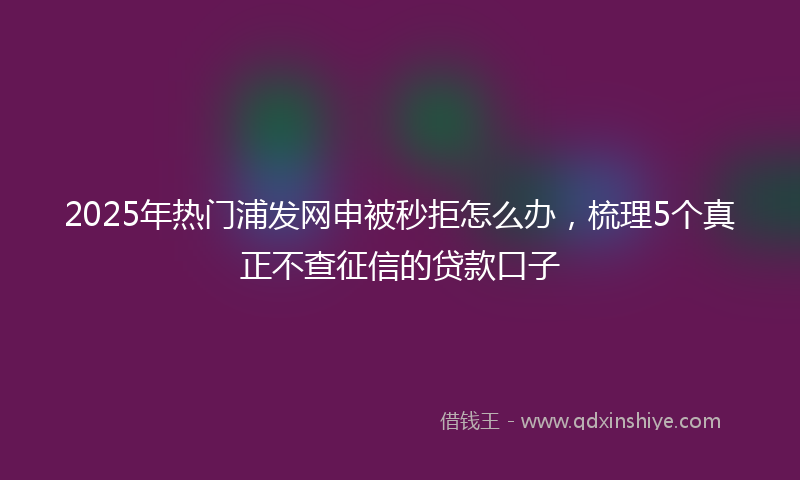 2025年热门浦发网申被秒拒怎么办，梳理5个真正不查征信的贷款口子