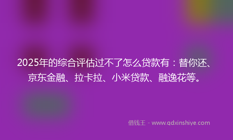 2025年的综合评估过不了怎么贷款有：替你还、京东金融、拉卡拉、小米贷款、融逸花等。
