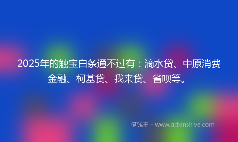 2025年的触宝白条通不过有：滴水贷、中原消费金融、柯基贷、我来贷、省呗等。