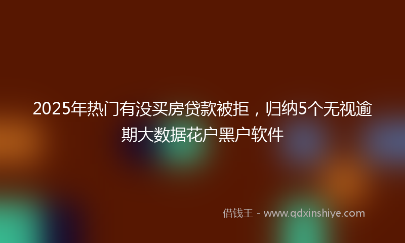 2025年热门有没买房贷款被拒，归纳5个无视逾期大数据花户黑户软件