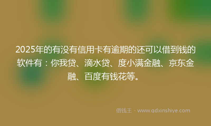 2025年的有没有信用卡有逾期的还可以借到钱的软件有：你我贷、滴水贷、度小满金融、京东金融、百度有钱花等。