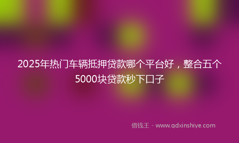 2025年热门车辆抵押贷款哪个平台好，整合五个5000块贷款秒下口子