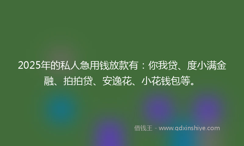2025年的私人急用钱放款有：你我贷、度小满金融、拍拍贷、安逸花、小花钱包等。