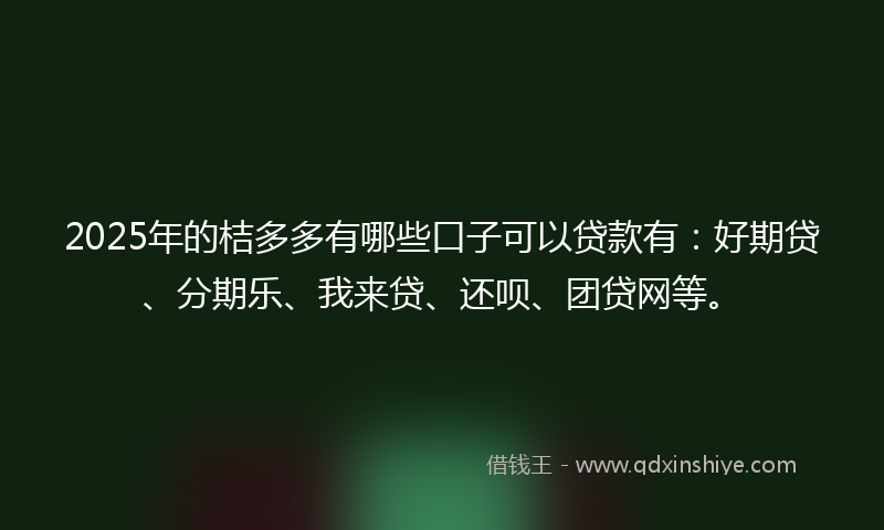 2025年的桔多多有哪些口子可以贷款有：好期贷、分期乐、我来贷、还呗、团贷网等。