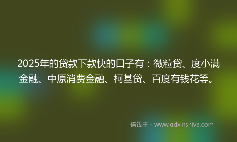 2025年的贷款下款快的口子有：微粒贷、度小满金融、中原消费金融、柯基贷、百度有钱花等。