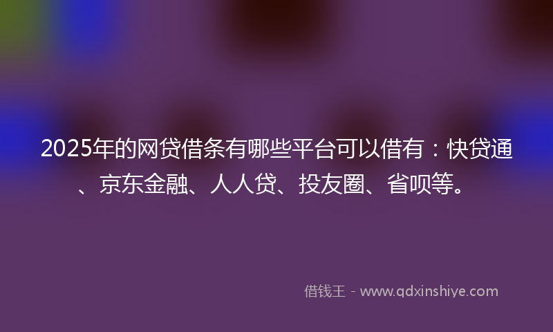 2025年的网贷借条有哪些平台可以借有：快贷通、京东金融、人人贷、投友圈、省呗等。