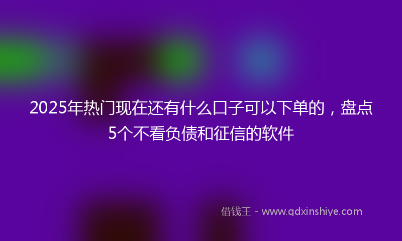 2025年热门现在还有什么口子可以下单的，盘点5个不看负债和征信的软件