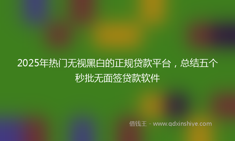 2025年热门无视黑白的正规贷款平台，总结五个秒批无面签贷款软件