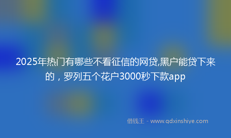 2025年热门有哪些不看征信的网贷,黑户能贷下来的，罗列五个花户3000秒下款app