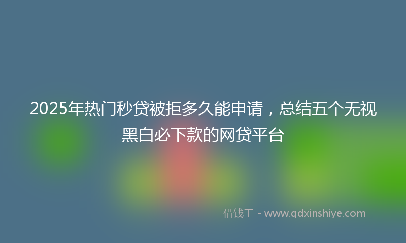 2025年热门秒贷被拒多久能申请，总结五个无视黑白必下款的网贷平台