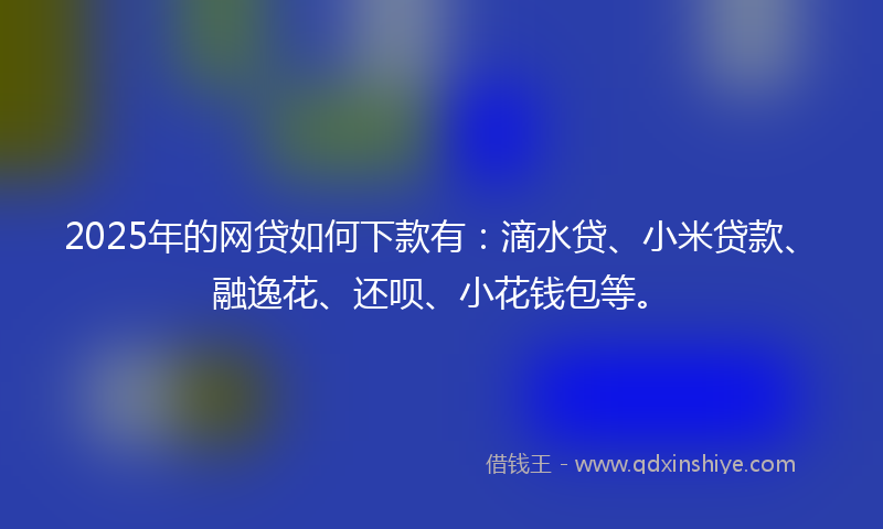 2025年的网贷如何下款有：滴水贷、小米贷款、融逸花、还呗、小花钱包等。