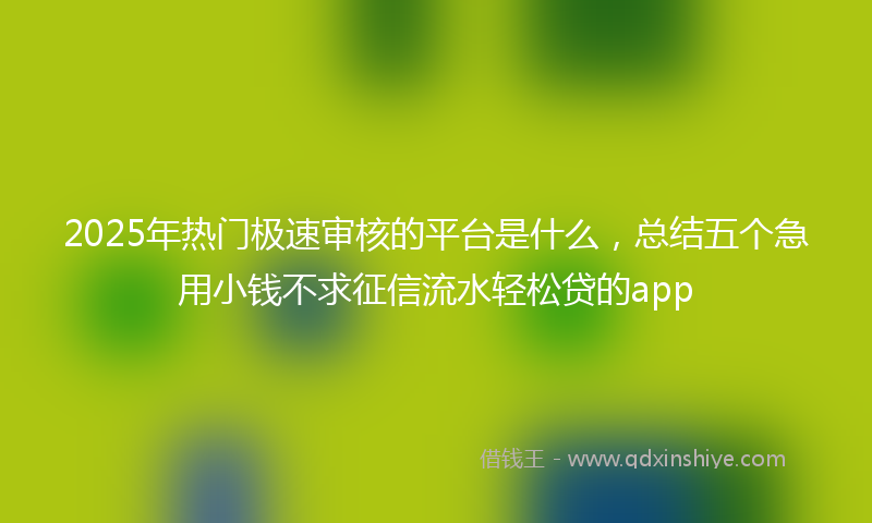 2025年热门极速审核的平台是什么，总结五个急用小钱不求征信流水轻松贷的app