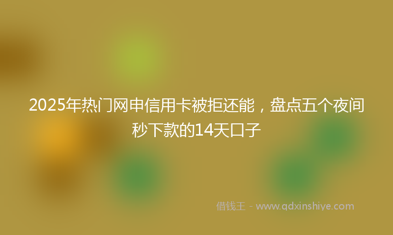 2025年热门网申信用卡被拒还能，盘点五个夜间秒下款的14天口子