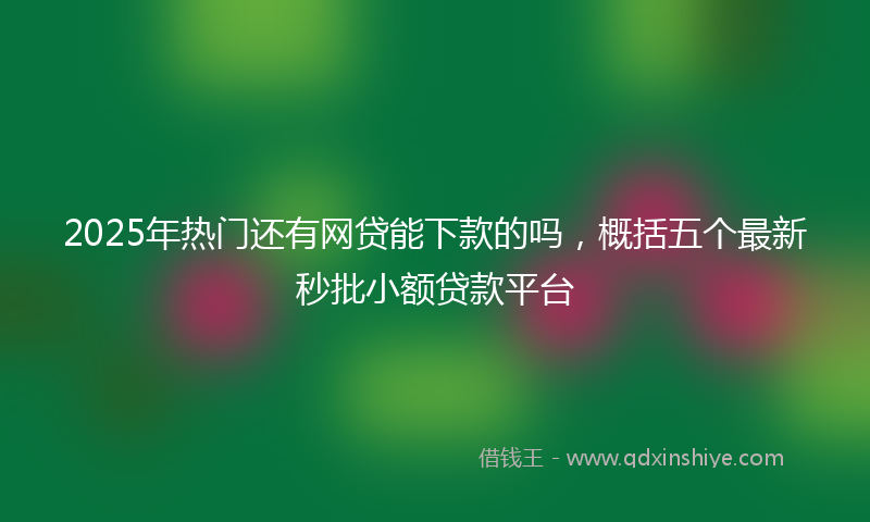 2025年热门还有网贷能下款的吗，概括五个最新秒批小额贷款平台