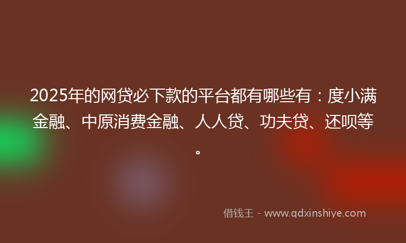 2025年的网贷必下款的平台都有哪些有：度小满金融、中原消费金融、人人贷、功夫贷、还呗等。
