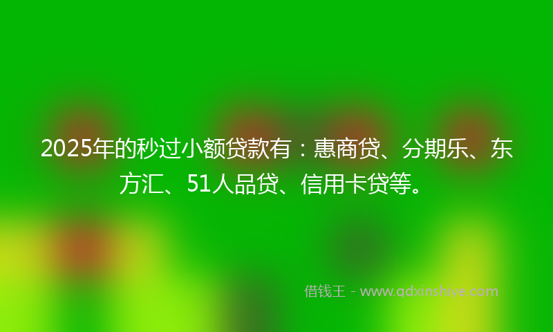 2025年的秒过小额贷款有：惠商贷、分期乐、东方汇、51人品贷、信用卡贷等。