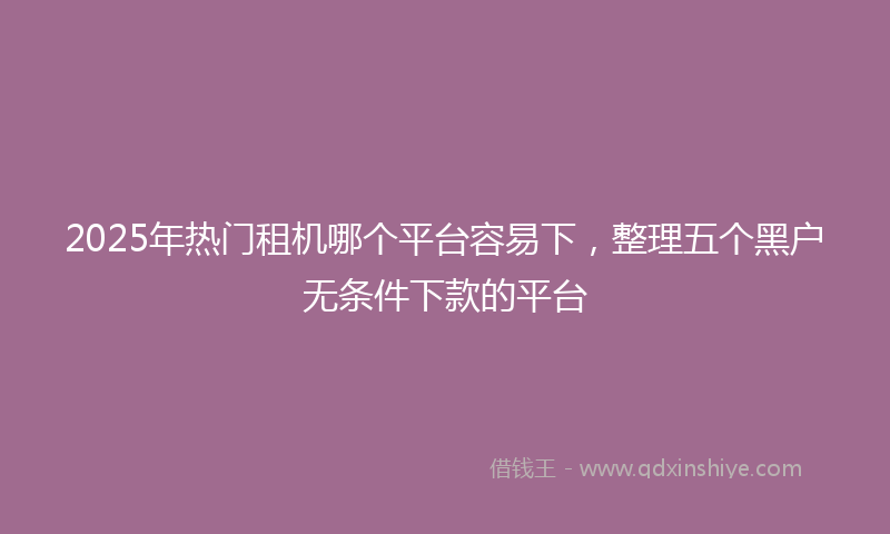 2025年热门租机哪个平台容易下，整理五个黑户无条件下款的平台