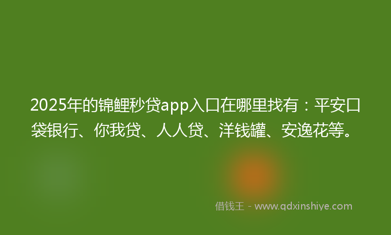 2025年的锦鲤秒贷app入口在哪里找有：平安口袋银行、你我贷、人人贷、洋钱罐、安逸花等。