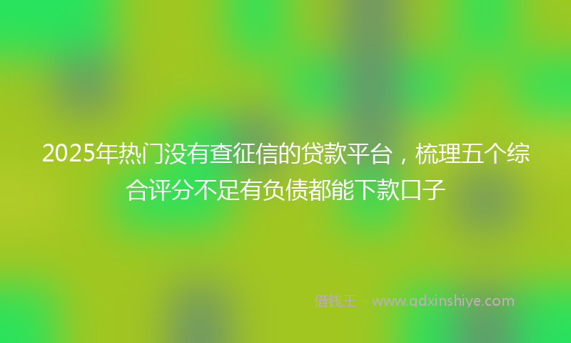 2025年热门没有查征信的贷款平台，梳理五个综合评分不足有负债都能下款口子