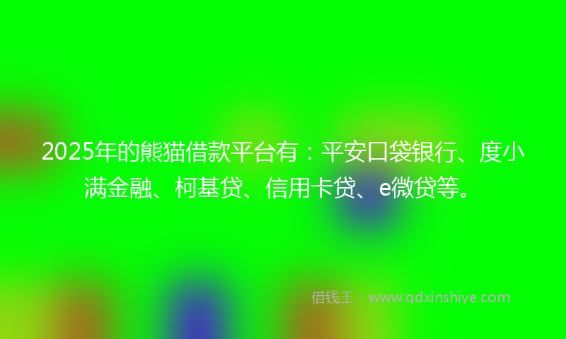 2025年的熊猫借款平台有：平安口袋银行、度小满金融、柯基贷、信用卡贷、e微贷等。
