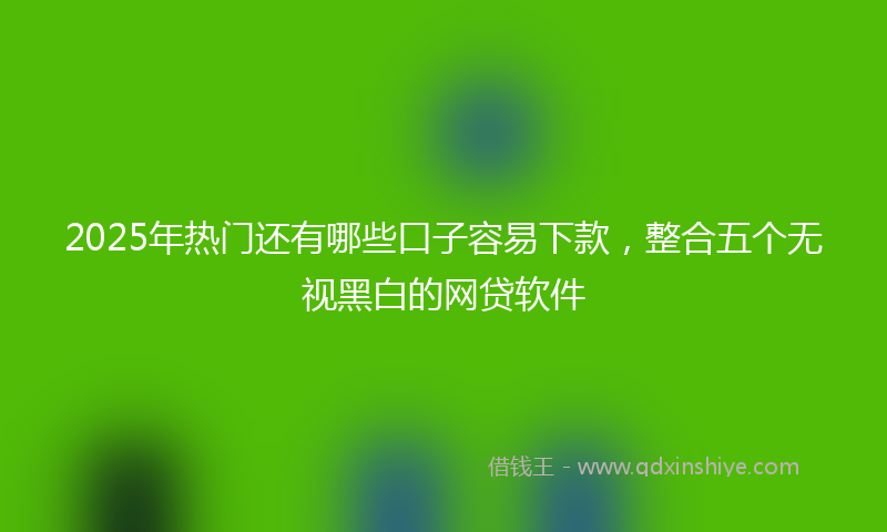 2025年热门还有哪些口子容易下款，整合五个无视黑白的网贷软件