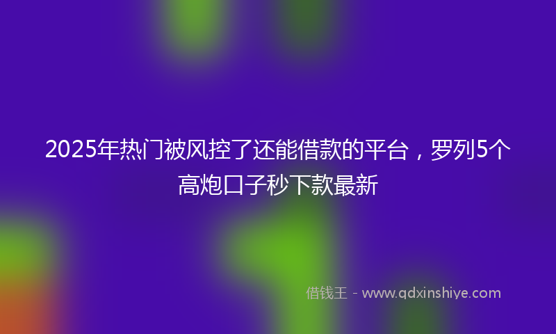 2025年热门被风控了还能借款的平台，罗列5个高炮口子秒下款最新