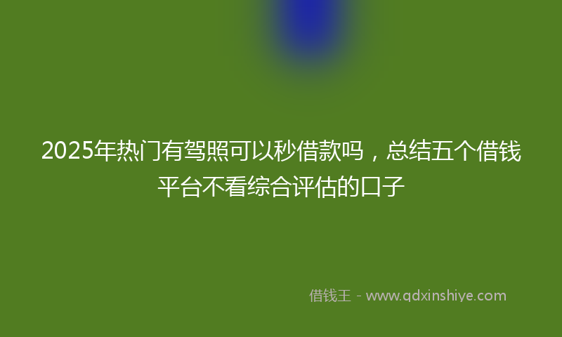 2025年热门有驾照可以秒借款吗，总结五个借钱平台不看综合评估的口子