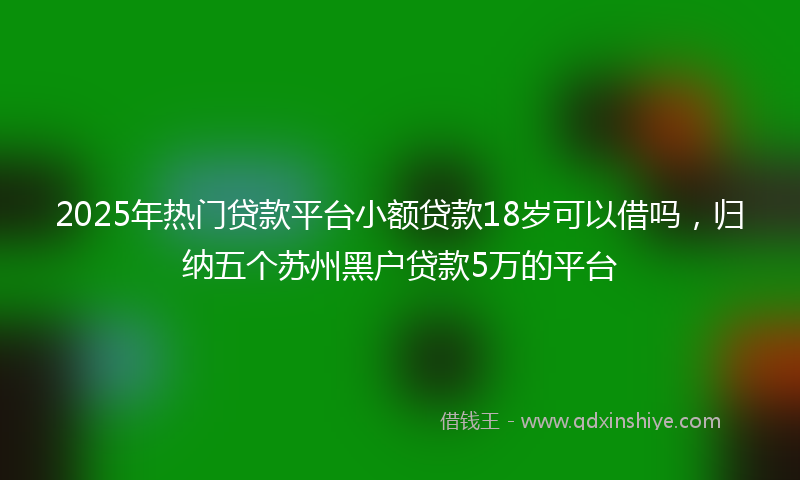 2025年热门贷款平台小额贷款18岁可以借吗，归纳五个苏州黑户贷款5万的平台