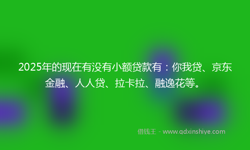 2025年的现在有没有小额贷款有：你我贷、京东金融、人人贷、拉卡拉、融逸花等。