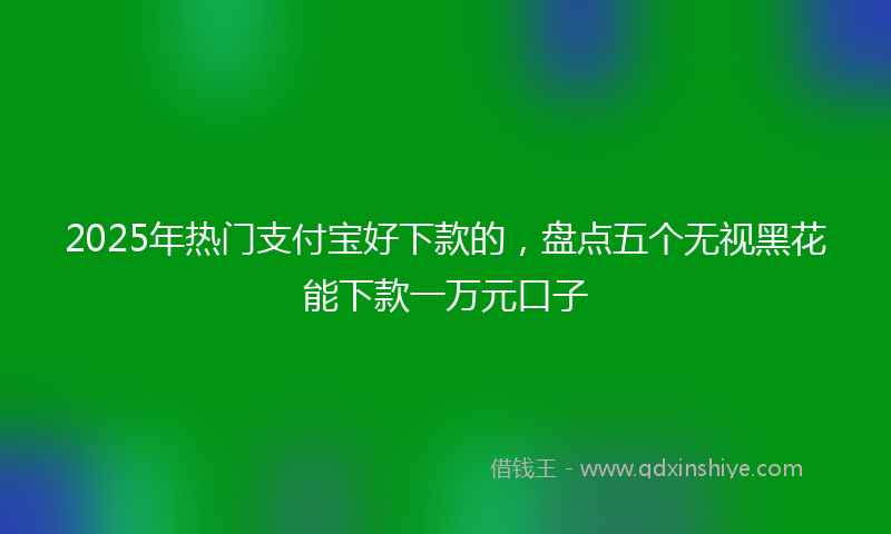 2025年热门支付宝好下款的，盘点五个无视黑花能下款一万元口子
