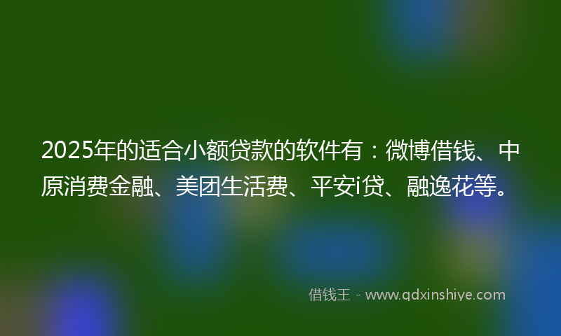2025年的适合小额贷款的软件有：微博借钱、中原消费金融、美团生活费、平安i贷、融逸花等。