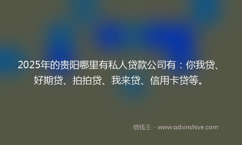 2025年的贵阳哪里有私人贷款公司有：你我贷、好期贷、拍拍贷、我来贷、信用卡贷等。