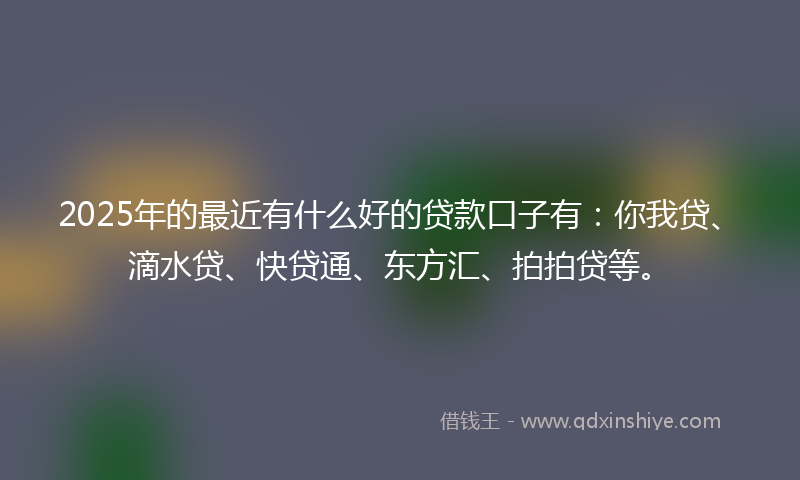 2025年的最近有什么好的贷款口子有：你我贷、滴水贷、快贷通、东方汇、拍拍贷等。