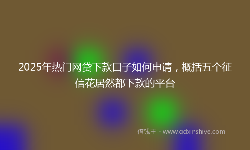 2025年热门网贷下款口子如何申请，概括五个征信花居然都下款的平台