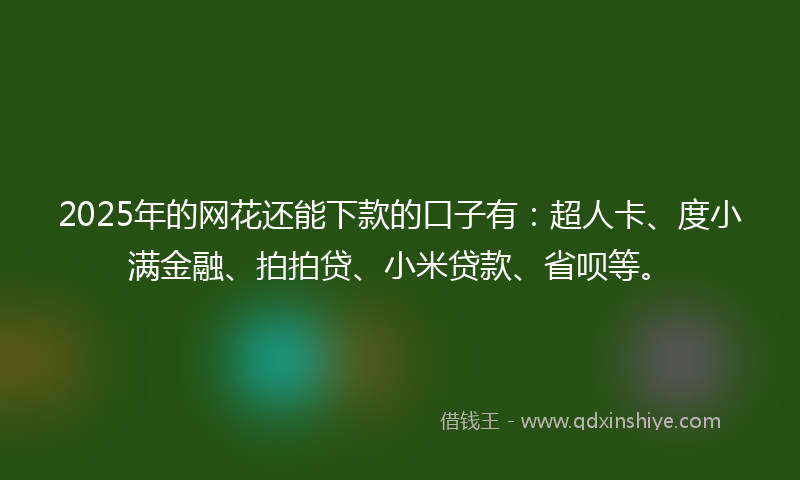 2025年的网花还能下款的口子有：超人卡、度小满金融、拍拍贷、小米贷款、省呗等。